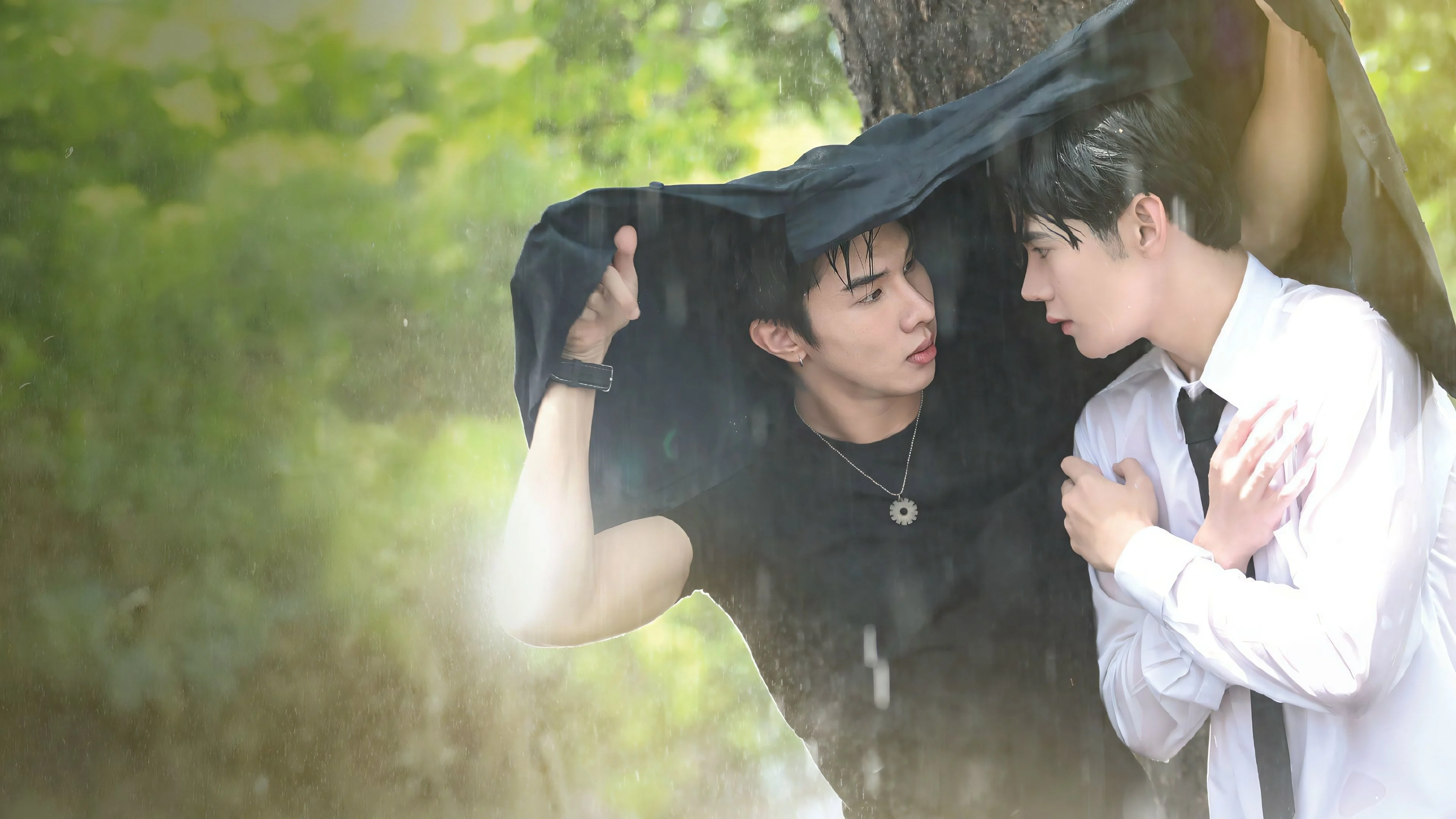 Doctor’s Mine - Doctor's Mine