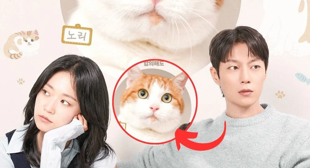 Cuộc Chiến Dành Quyền Nuôi Mèo - 냥육권 전쟁