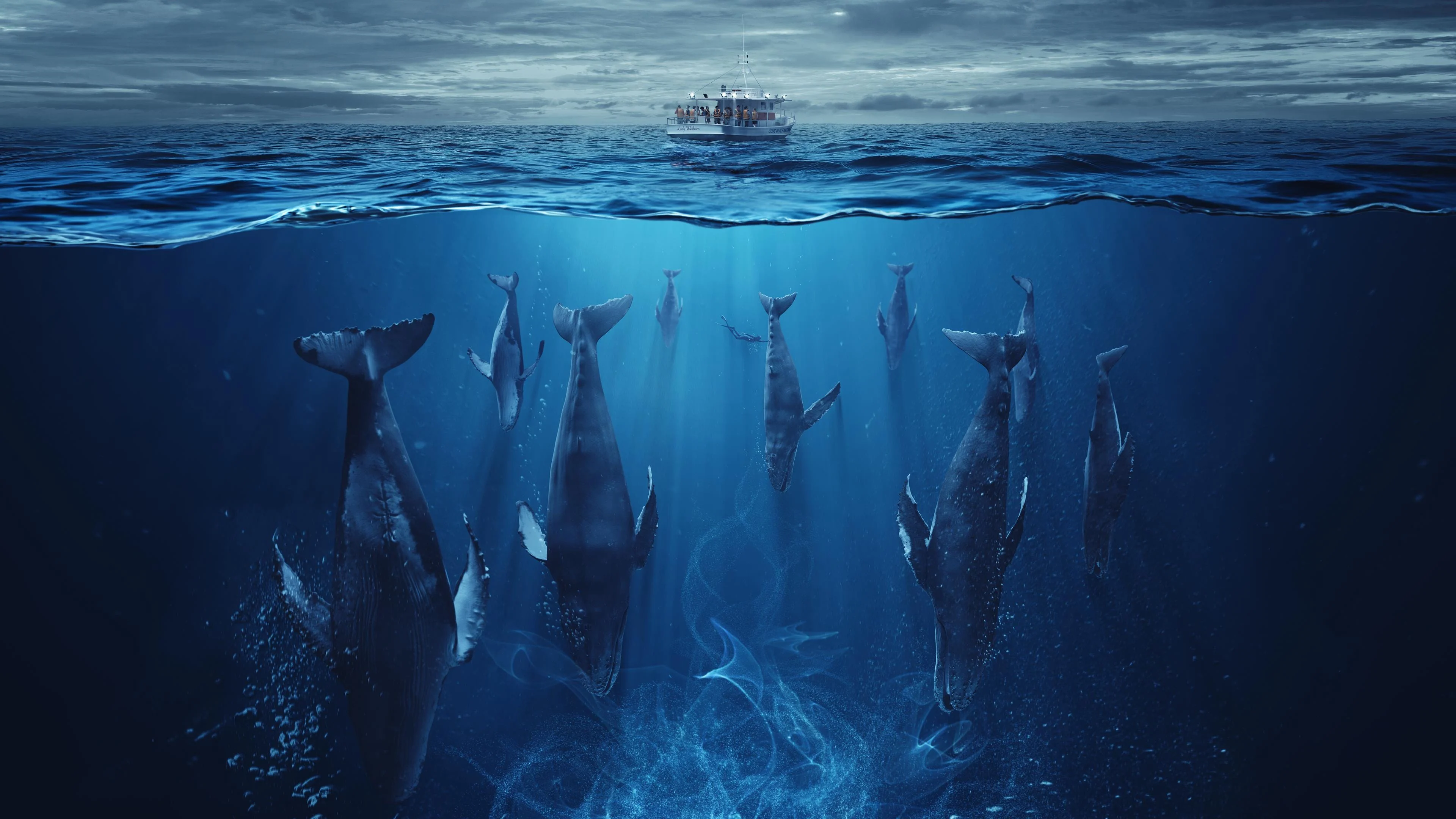 Đại Dương Thức Tỉnh - The Swarm