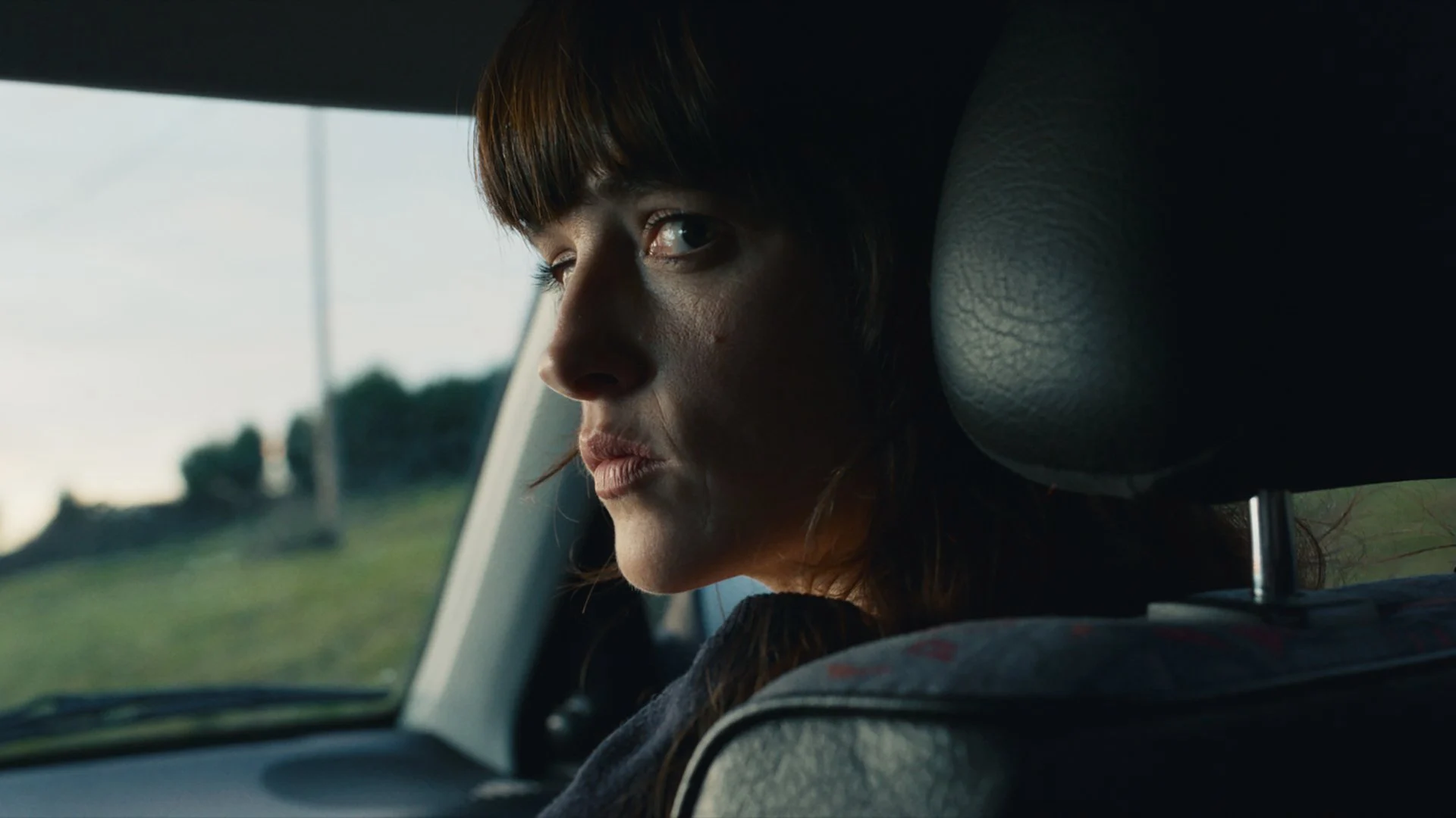 Bước Đi Trong Bóng Tối - She Walks in Darkness