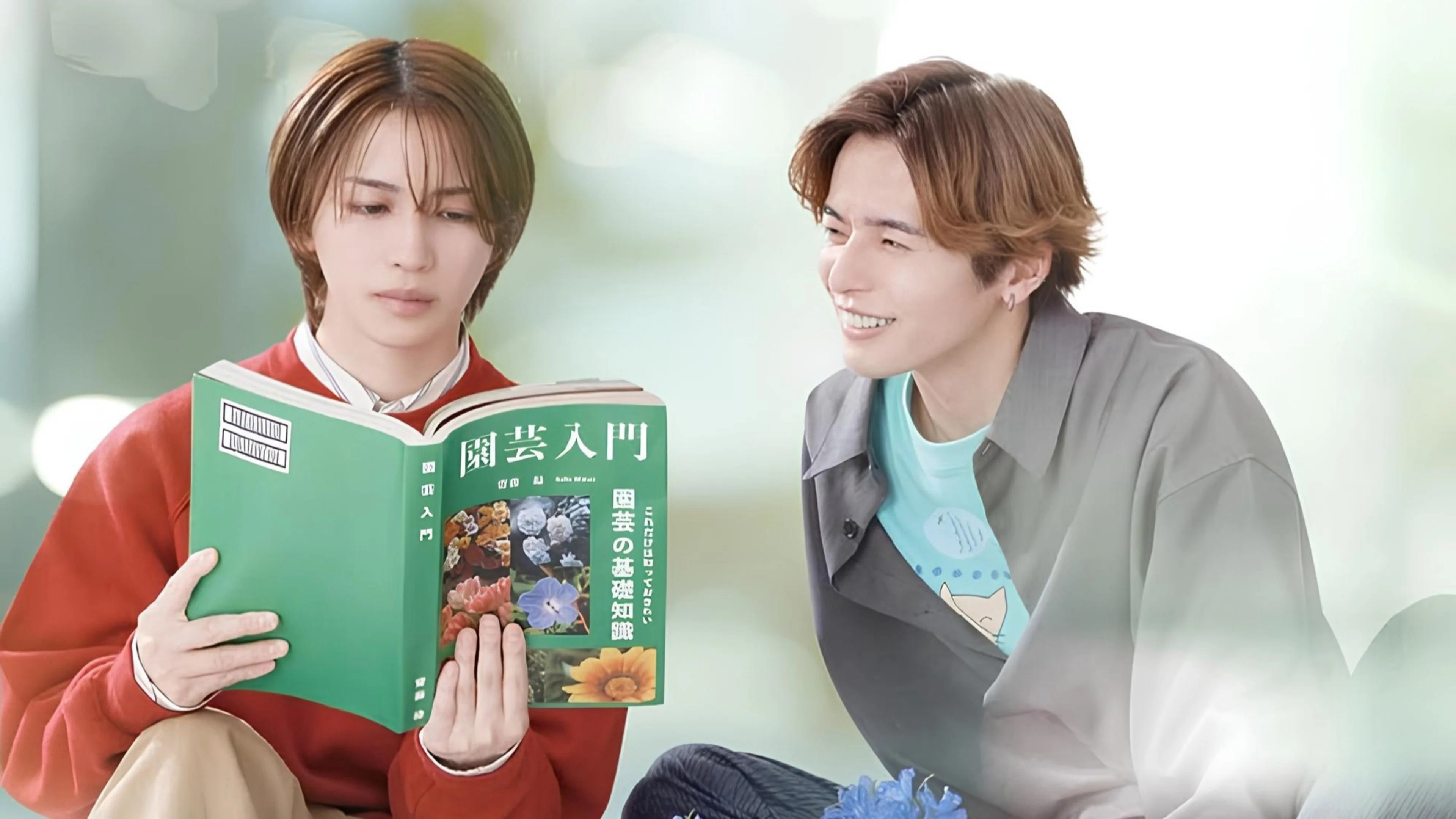 Cách Viết Tình Yêu Đúng Cách - The Proper Way to Write Love