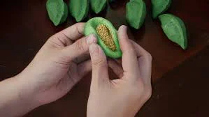 Hàn Quốc: Xứ Sở Bánh Tteok - A nation of tteok