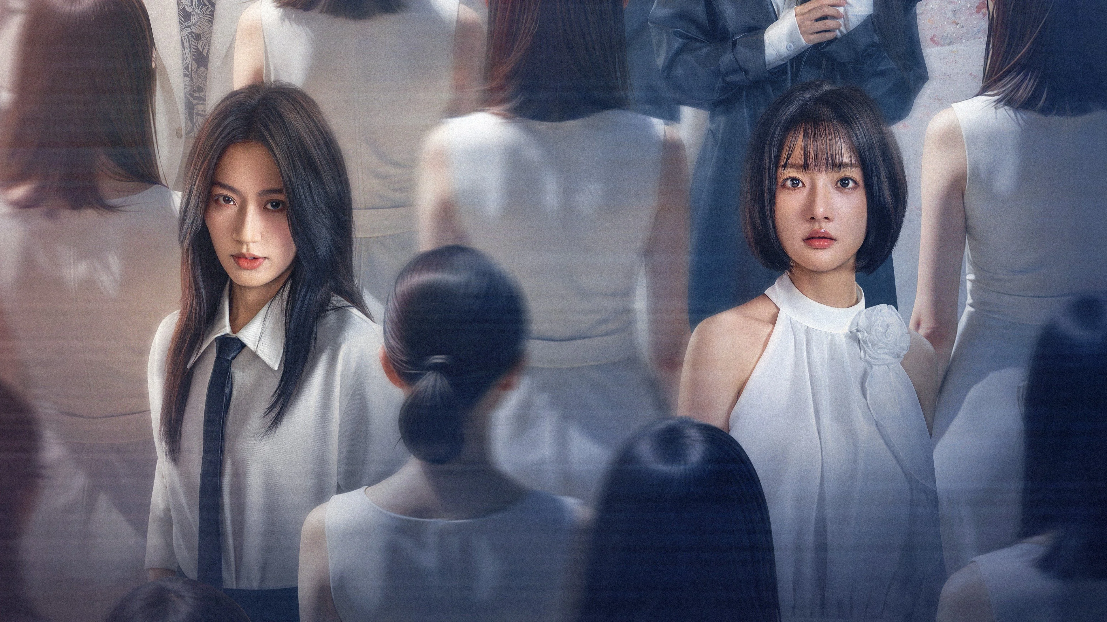 Lông Vũ Hoá Đao - Feathers Are Knives