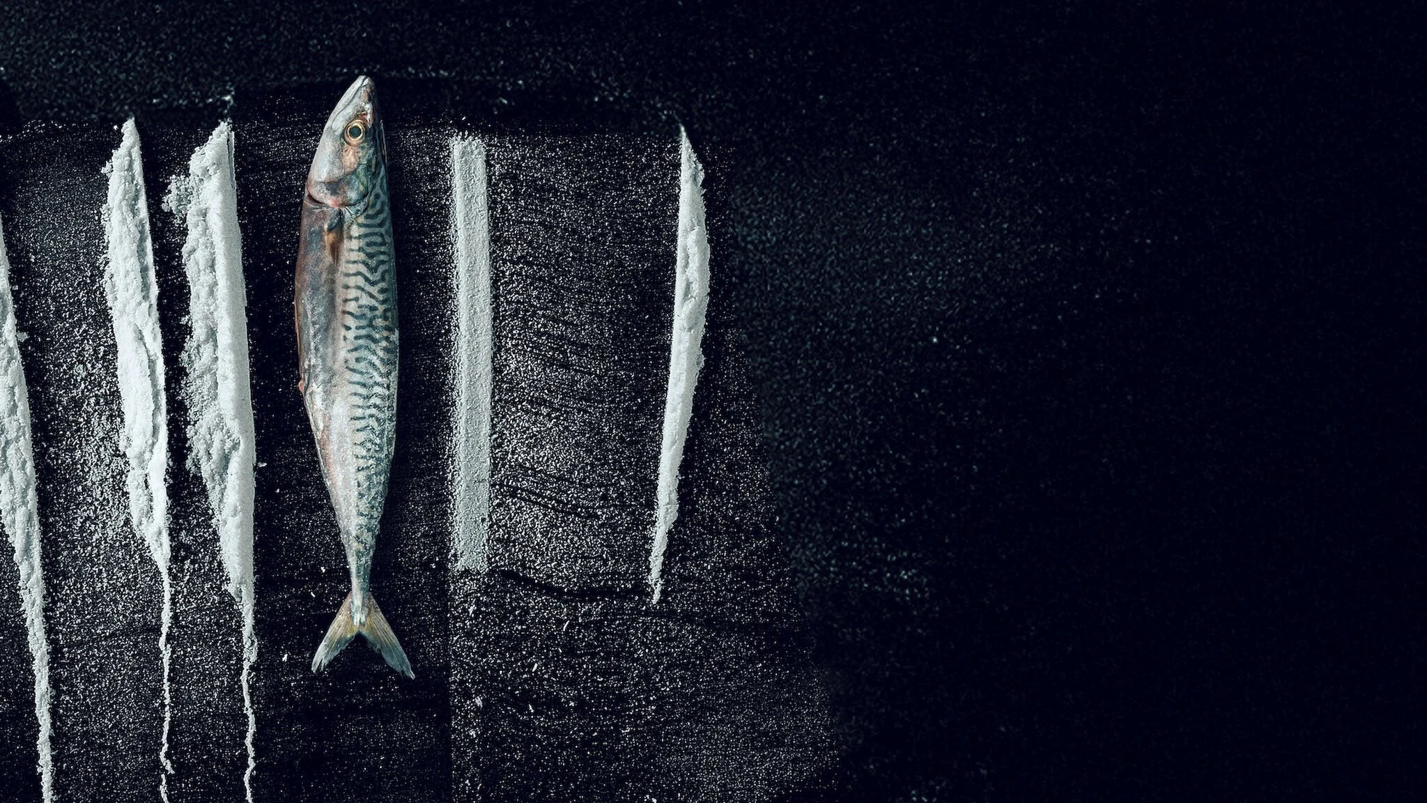 Sống Triều Đổi Vận: Câu Chuyện Siêu  Thực Tế Rabo de Peixe - Turn of the Tide: The Surreal Story of Rabo de Peixe