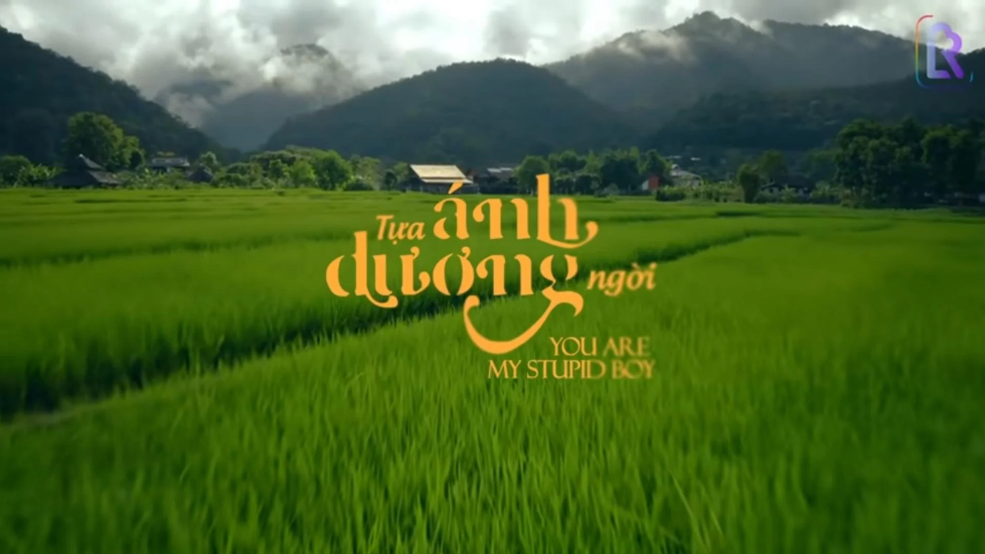 Tựa Ánh Dương Ngời - You Are My Stupid Boy