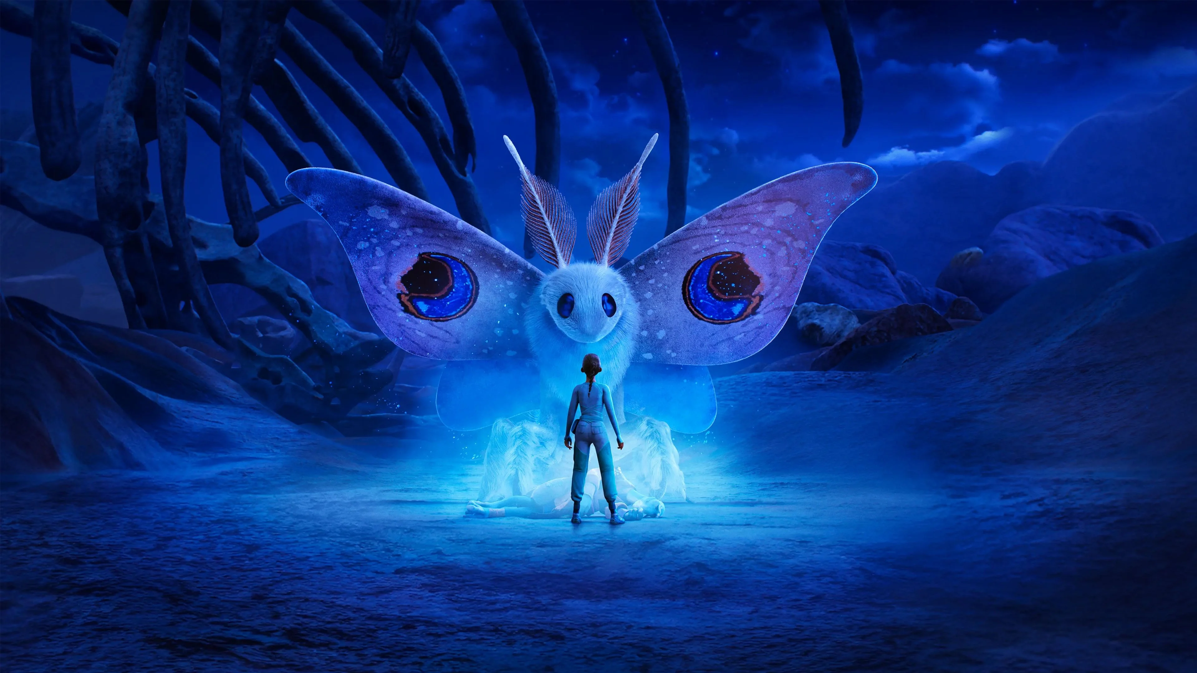 Đi Tìm WondLa (Phần 2) - WondLa (Season 2)