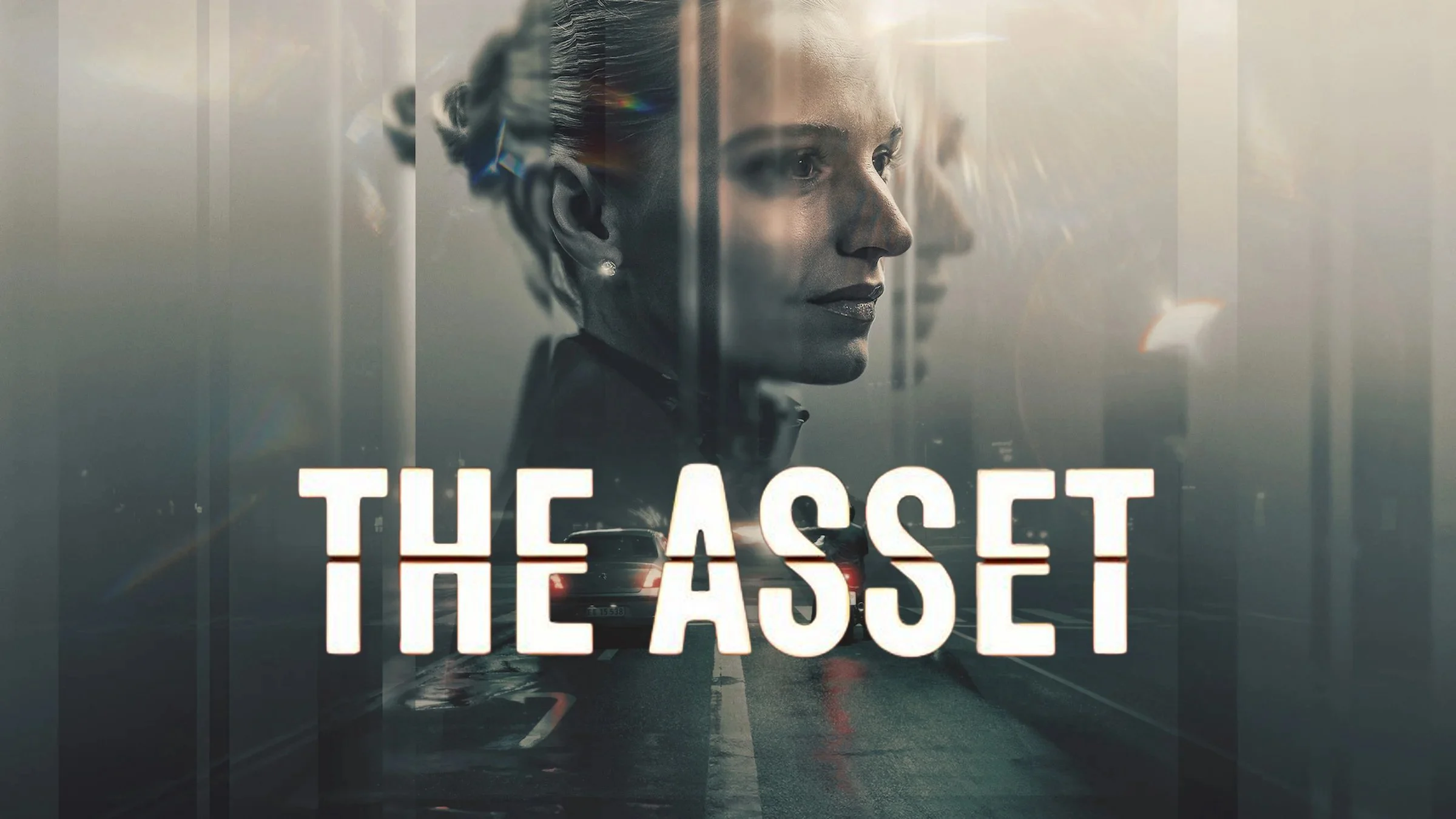 The Asset - The Asset
