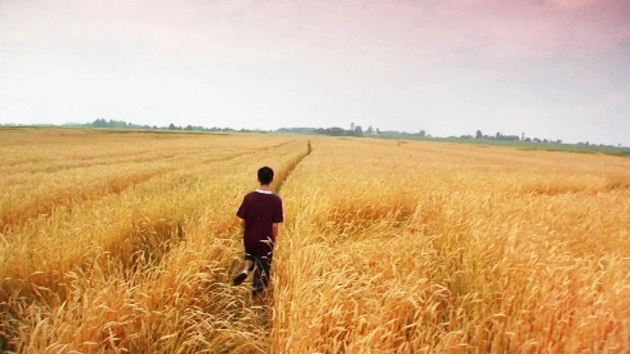 Tôi chỉ yêu người lạ - Innocent